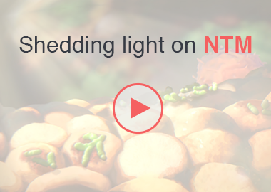 Shedding light on NTM video will help you learn about adult NTM causes